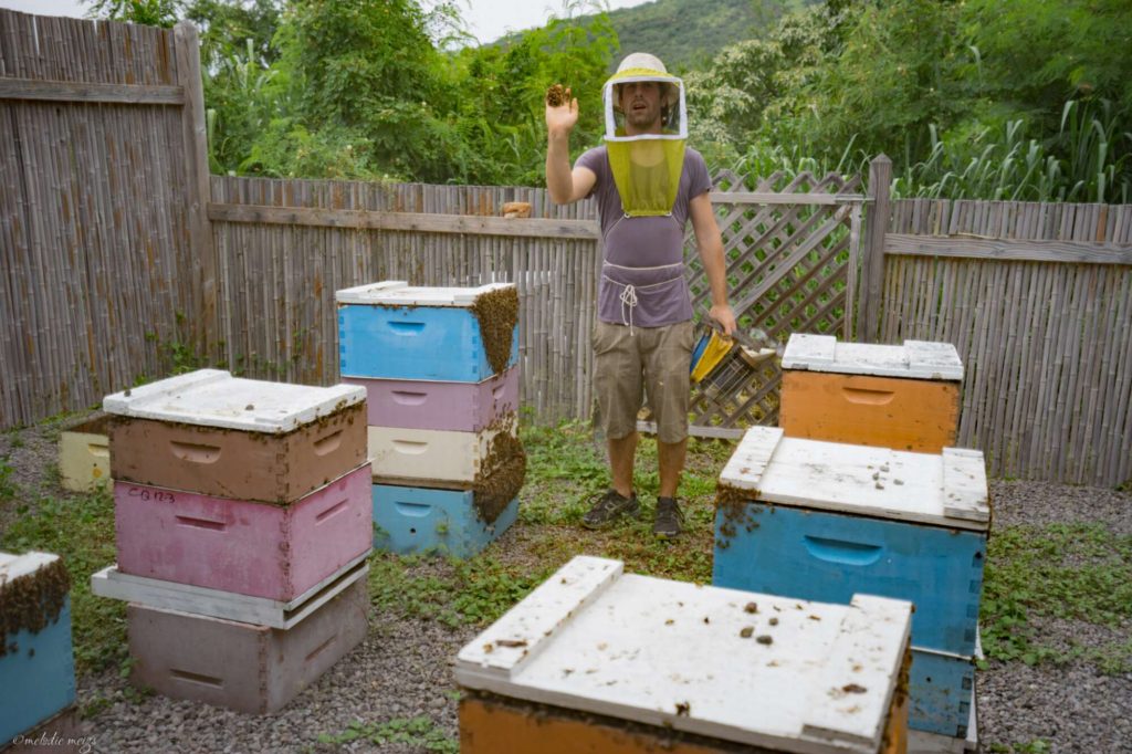 big island bees farm tour