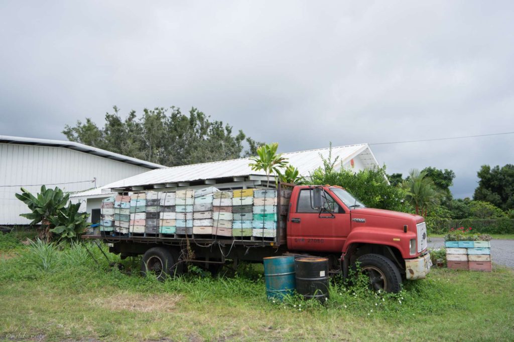 big island bees farm truck