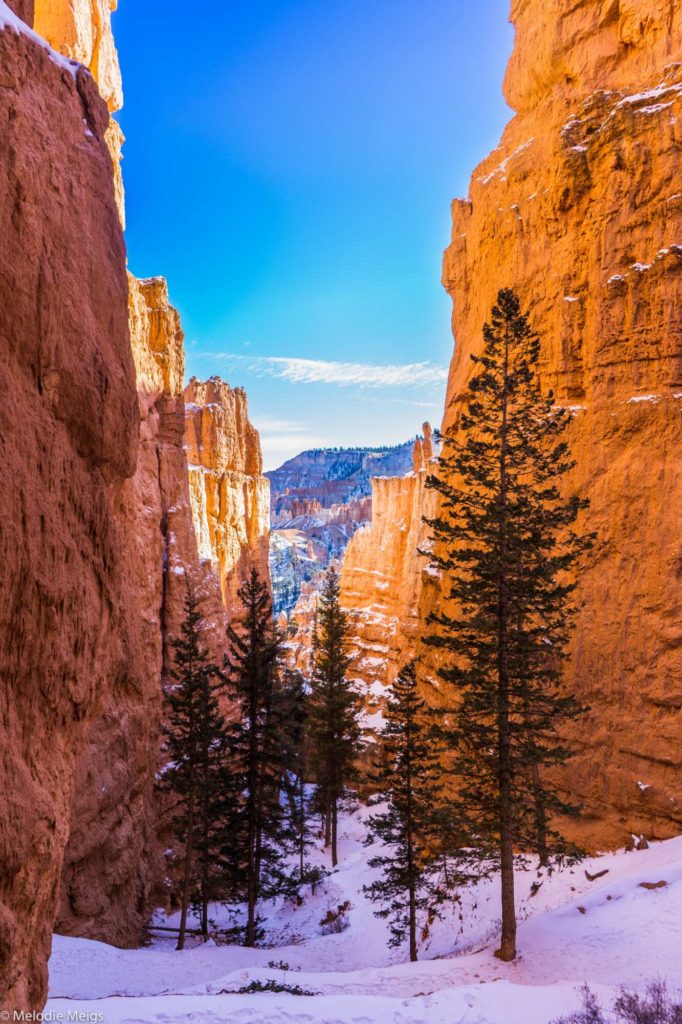 bryce canyon national park in winter