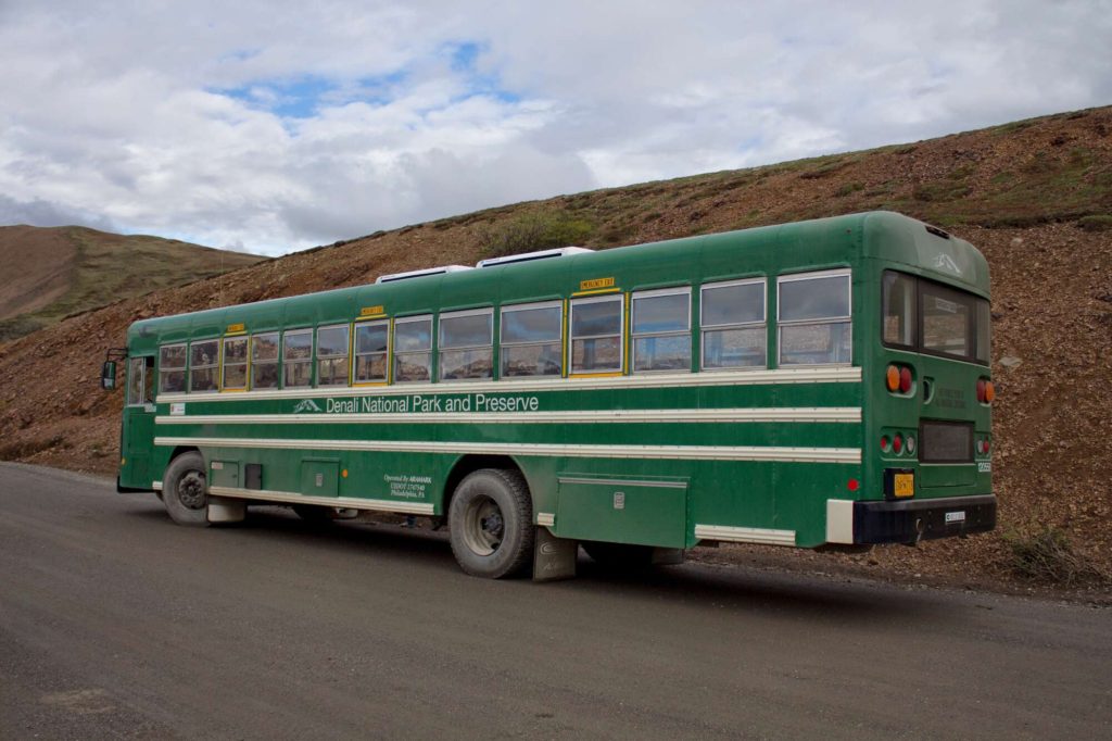 denali national park bus