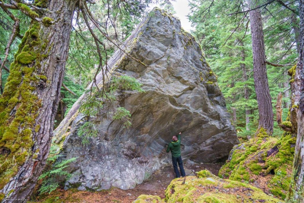 boulder in glacier national park canada