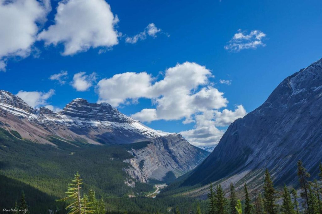 view from icefields parkway