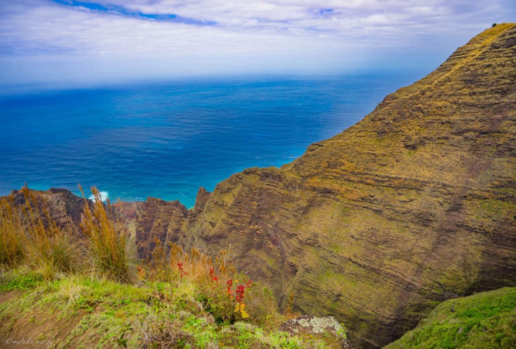 kauai Awa’awapuhi Trail