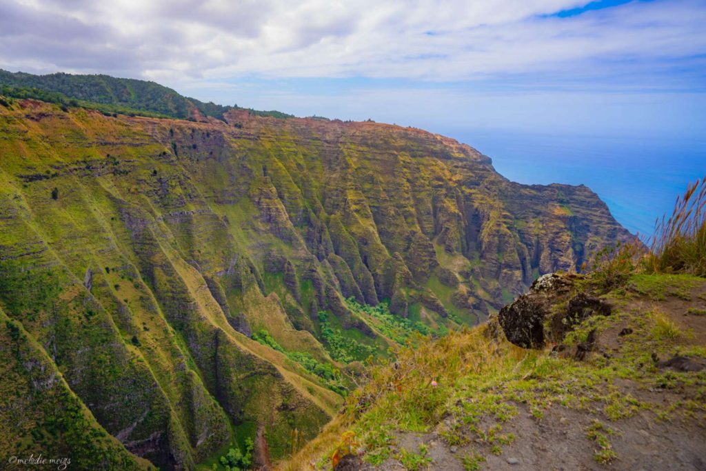 kauai Awa’awapuhi Trail