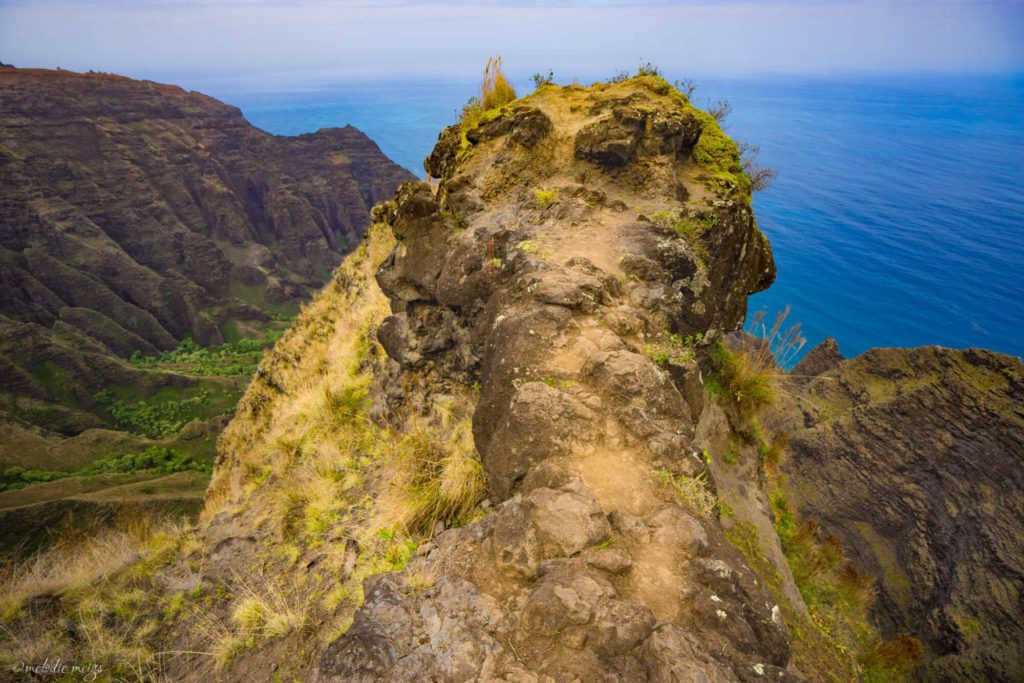 Awa’awapuhi Trail end point kauai hi