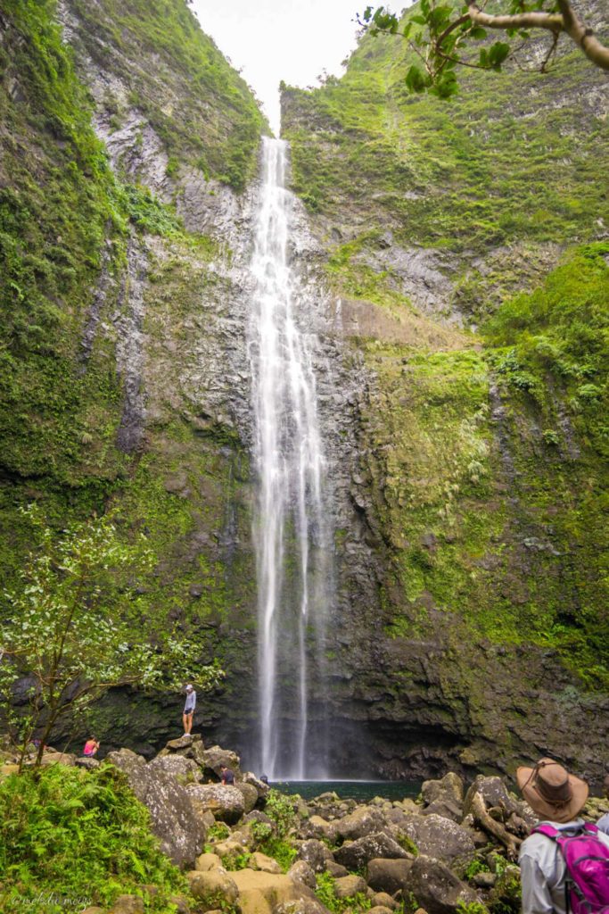 Kalalau Trail to Hanakapi'ai Falls kauai hi