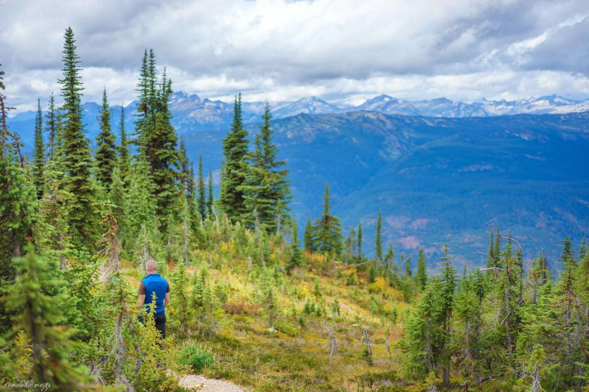 Mt. Revelstoke, Glacier, Yoho National Parks (British Columbia