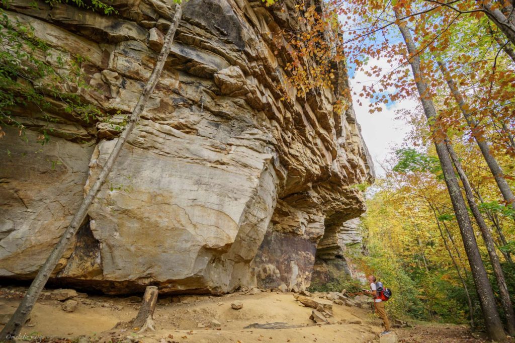 New River Gorge climbing area 51