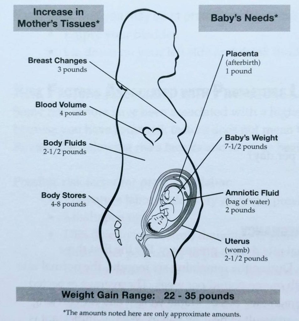 rock climbing while pregnant organs