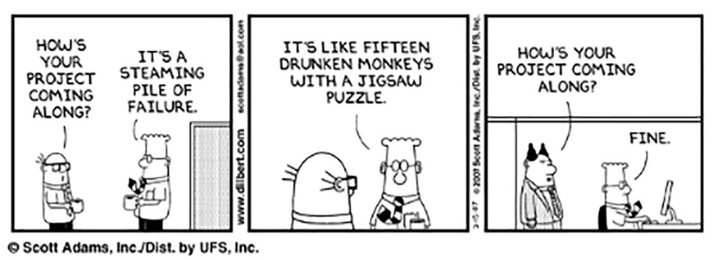 program management cartoon