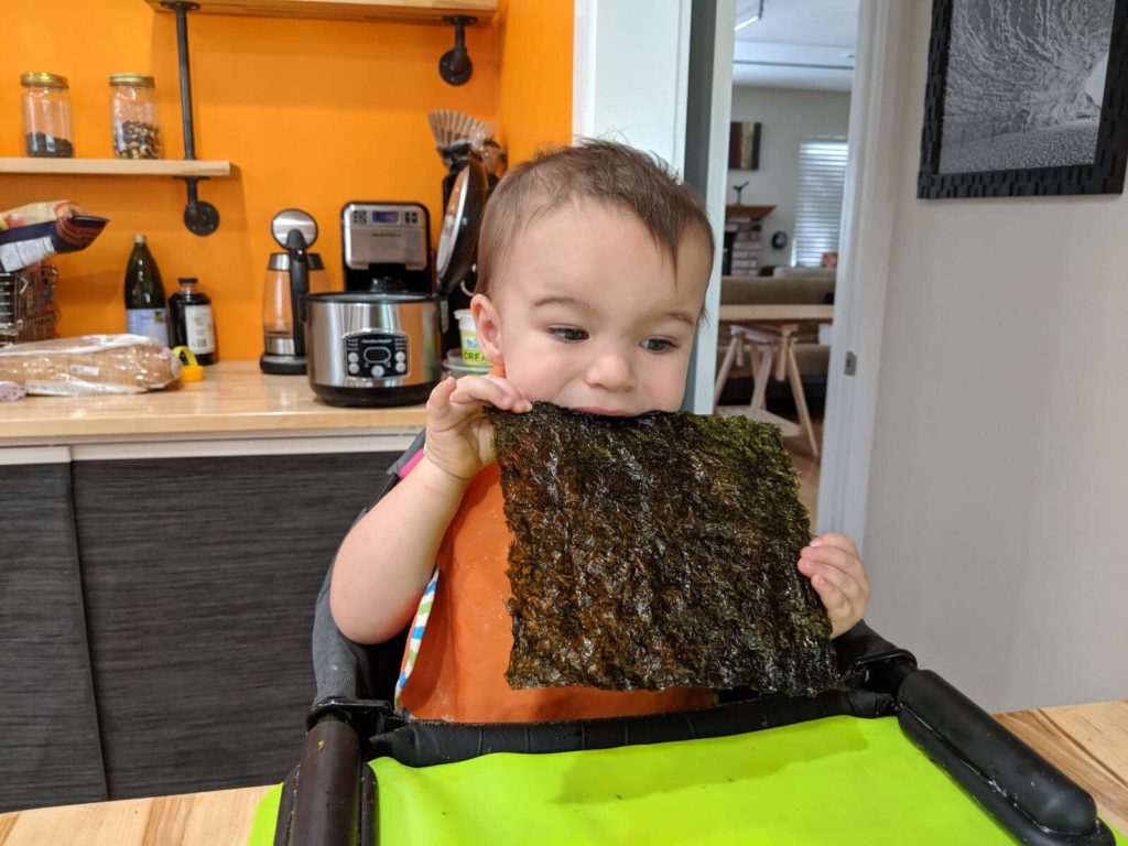 baby eating dried seaweed