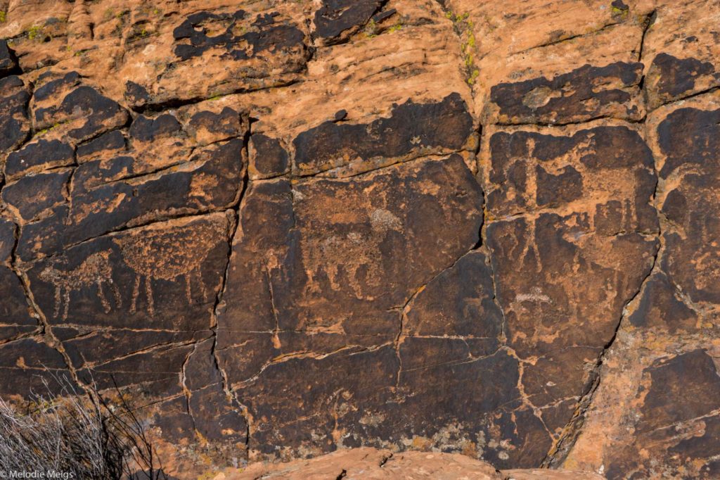 snow canyon state park, UT petroglyphs