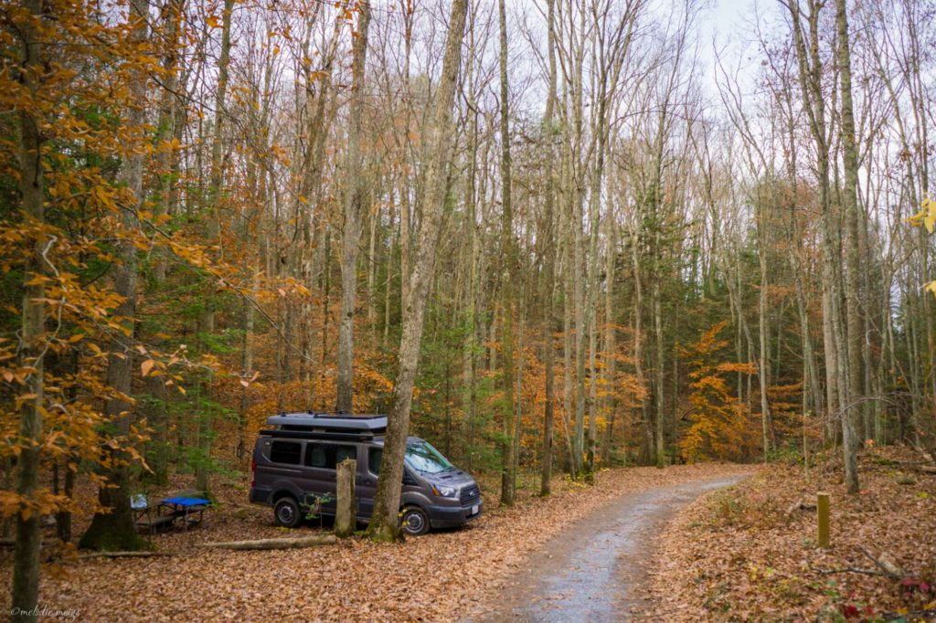 New River Gorge climbing camping at AAC campground