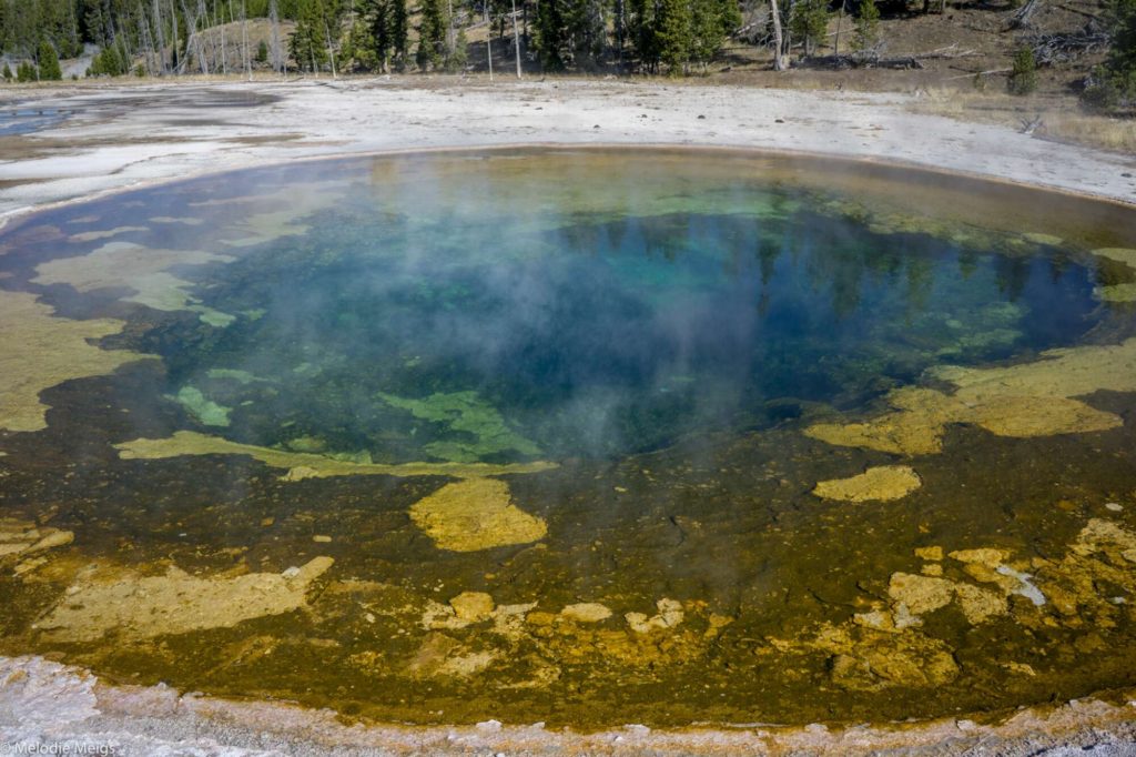 yellowstone hot springs