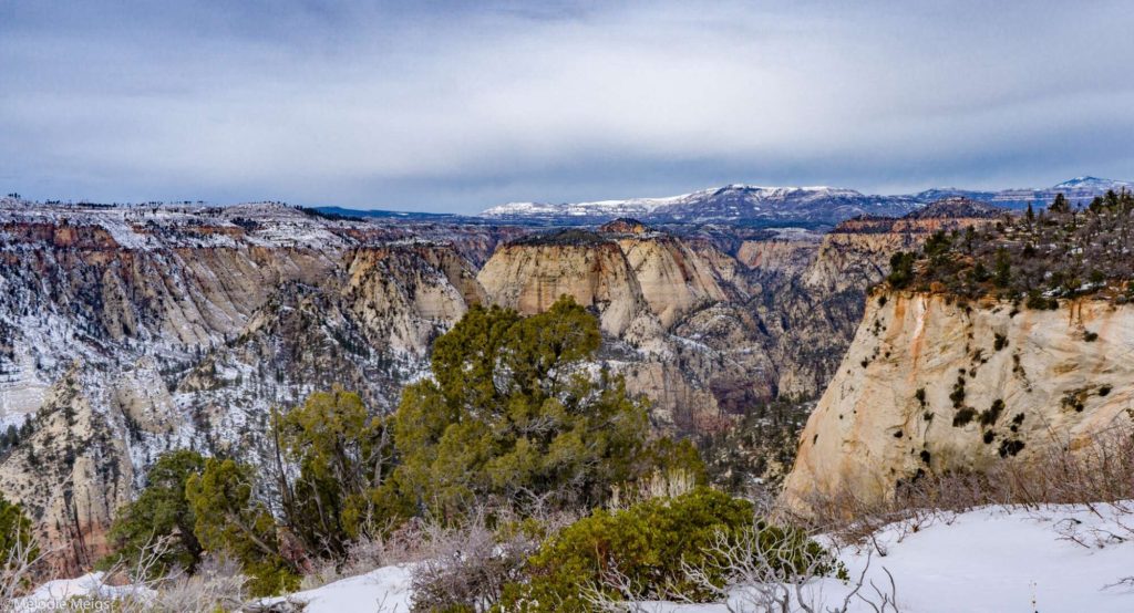 zion national park observation point hike snow