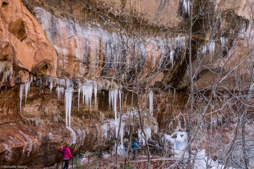 zion national park icicles