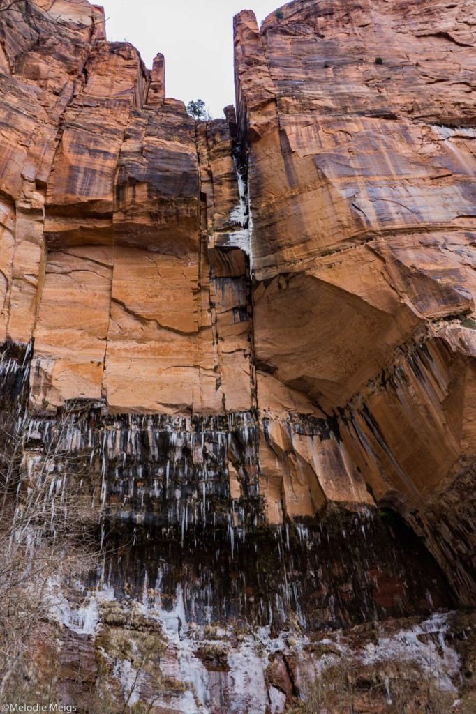 zion national park crack climbing